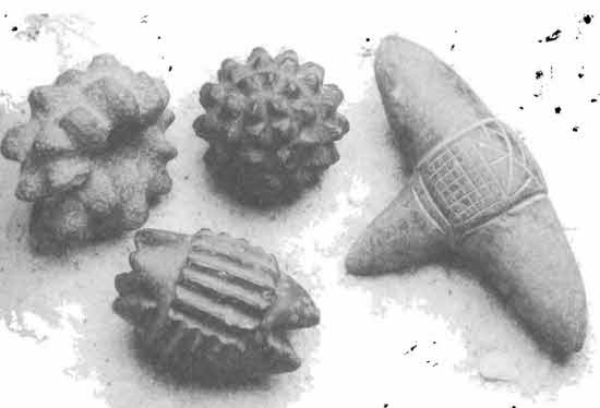 Иллюстрация к книге — Машина Уриила [i_062.jpg]