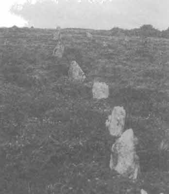 Иллюстрация к книге — Машина Уриила [i_064.jpg]