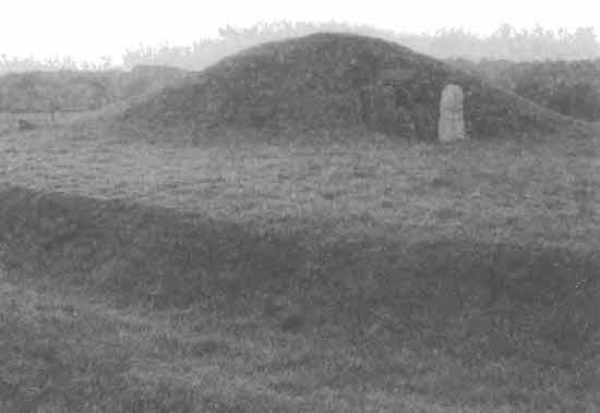 Иллюстрация к книге — Машина Уриила [i_067.jpg]