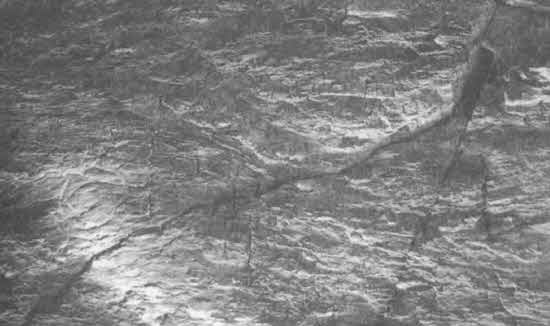 Иллюстрация к книге — Машина Уриила [i_070.jpg]