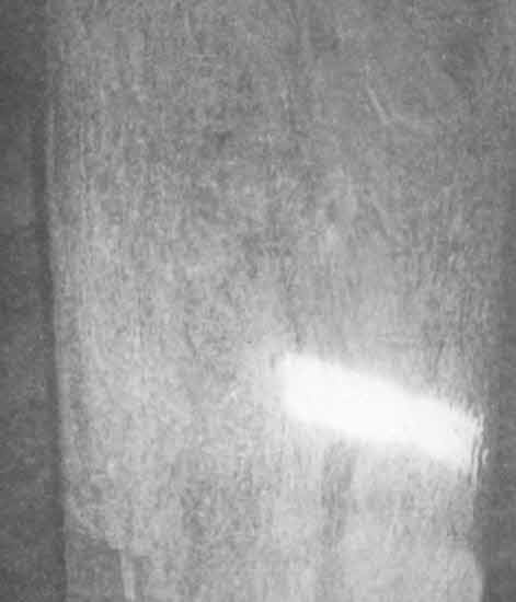 Иллюстрация к книге — Машина Уриила [i_073.jpg]