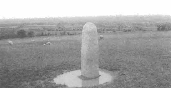 Иллюстрация к книге — Машина Уриила [i_080.jpg]