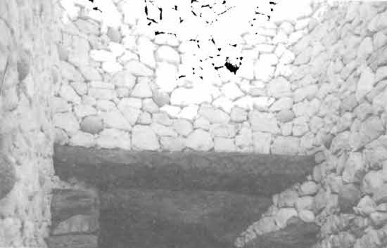 Иллюстрация к книге — Машина Уриила [i_082.jpg]