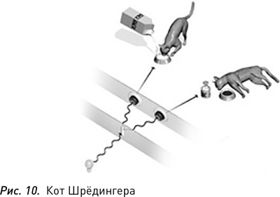 Иллюстрация к книге — Программируя Вселенную. Квантовый компьютер и будущее науки [i_011.jpg]