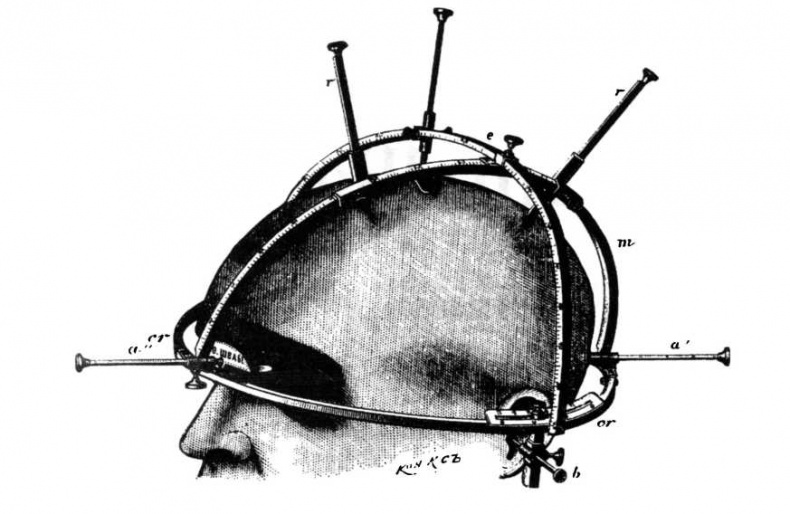 Иллюстрация к книге — Расовые различия в интеллекте. Эволюционный анализ [_1.jpg]