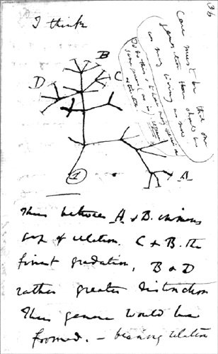 Иллюстрация к книге — От Дарвина до Эйнштейна. Величайшие ошибки гениальных ученых, которые изменили наше понимание жизни и вселенной [i_002.jpg]