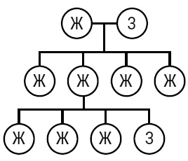 Иллюстрация к книге — Был ли Бог математиком? Галопом по божественной Вселенной с калькулятором, штангенциркулем и таблицами Брадиса [i_040.jpg]