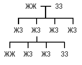 Иллюстрация к книге — Был ли Бог математиком? Галопом по божественной Вселенной с калькулятором, штангенциркулем и таблицами Брадиса [i_041.jpg]