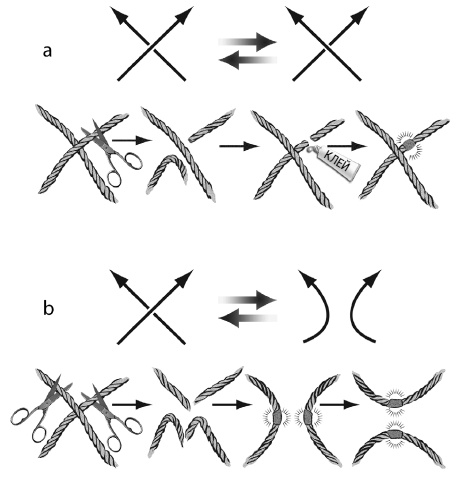 Иллюстрация к книге — Был ли Бог математиком? Галопом по божественной Вселенной с калькулятором, штангенциркулем и таблицами Брадиса [i_062.jpg]