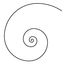 Иллюстрация к книге — Число Бога. Золотое сечение – формула мироздания [_177.jpg]