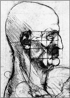 Иллюстрация к книге — Число Бога. Золотое сечение – формула мироздания [_247_2.jpg]