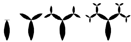 Иллюстрация к книге — Число Бога. Золотое сечение – формула мироздания [_332.jpg]