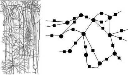 Иллюстрация к книге — Тьюринг. Компьютерное исчисление [img_40.jpg]