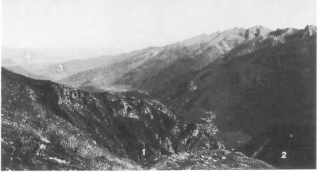 Иллюстрация к книге — Ганнибал [i_013.jpg]