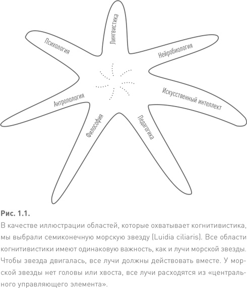 Иллюстрация к книге — Иностранный для взрослых. Как выучить новый язык в любом возрасте [i_001.jpg]