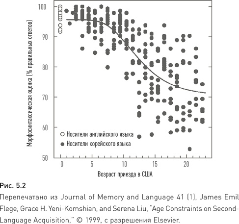 Иллюстрация к книге — Иностранный для взрослых. Как выучить новый язык в любом возрасте [i_004.jpg]