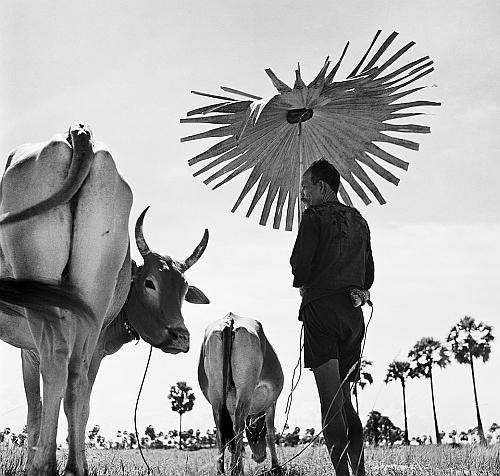 Иллюстрация к книге — В погоне за Солнцем [_53.jpg]