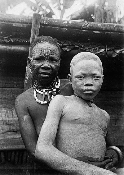 Иллюстрация к книге — В погоне за Солнцем [_58.jpg]