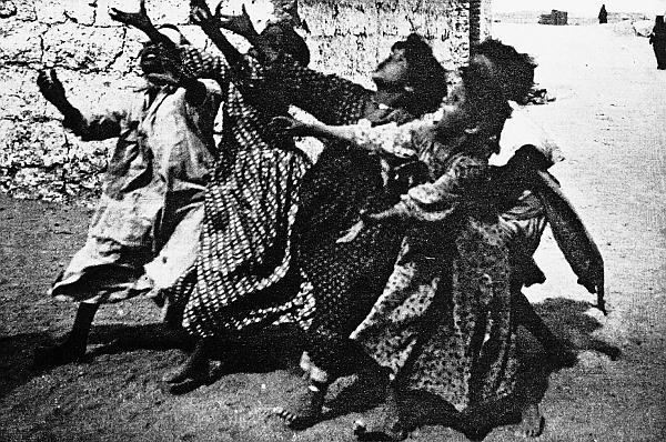 Иллюстрация к книге — В погоне за Солнцем [_83.jpg]