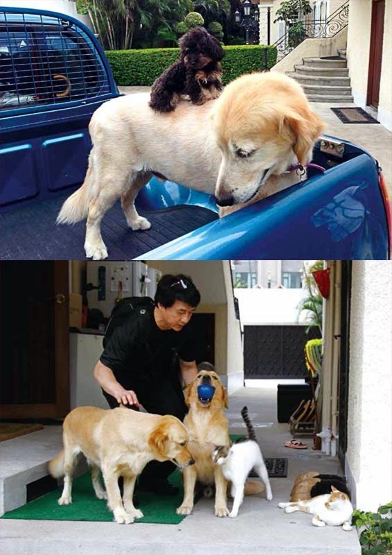 Иллюстрация к книге — Джеки Чан. Я счастливый [pic_60.jpg]