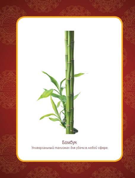 Иллюстрация к книге — Фэншуй, приносящий удачу. Как сделать ваш дом магнитом для удачи [v_16.jpg]