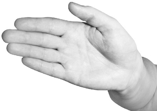 Иллюстрация к книге — Большая книга мудр. Йога для пальцев, которая даст здоровье, деньги и удачу [_041.jpg]