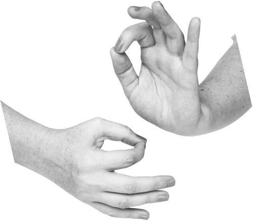 Иллюстрация к книге — Большая книга мудр. Йога для пальцев, которая даст здоровье, деньги и удачу [_053.jpg]