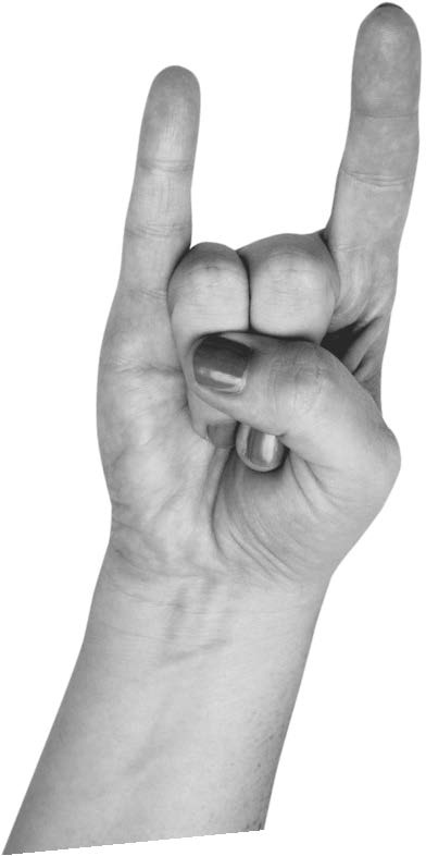 Иллюстрация к книге — Большая книга мудр. Йога для пальцев, которая даст здоровье, деньги и удачу [_056.jpg]