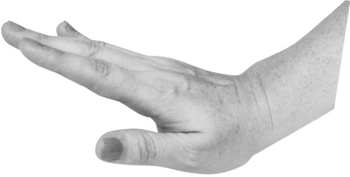 Иллюстрация к книге — Большая книга мудр. Йога для пальцев, которая даст здоровье, деньги и удачу [_067.jpg]