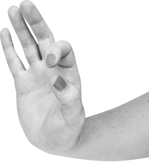 Иллюстрация к книге — Большая книга мудр. Йога для пальцев, которая даст здоровье, деньги и удачу [_077.jpg]