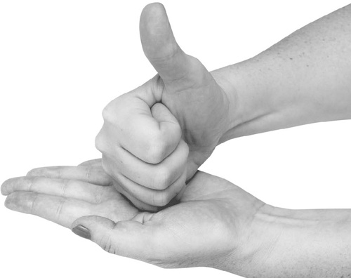 Иллюстрация к книге — Большая книга мудр. Йога для пальцев, которая даст здоровье, деньги и удачу [_090.jpg]