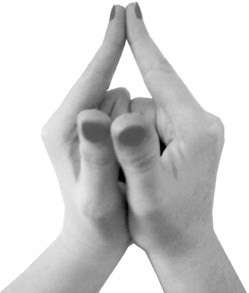 Иллюстрация к книге — Большая книга мудр. Йога для пальцев, которая даст здоровье, деньги и удачу [_095.jpg]