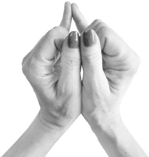 Иллюстрация к книге — Большая книга мудр. Йога для пальцев, которая даст здоровье, деньги и удачу [_110.jpg]