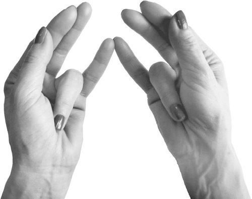 Иллюстрация к книге — Большая книга мудр. Йога для пальцев, которая даст здоровье, деньги и удачу [_118.jpg]