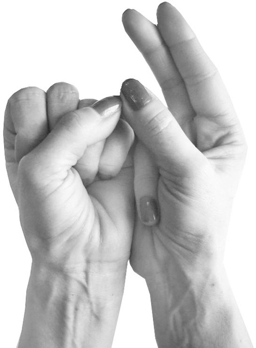 Иллюстрация к книге — Большая книга мудр. Йога для пальцев, которая даст здоровье, деньги и удачу [_127.jpg]