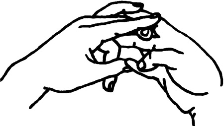 Иллюстрация к книге — Большая книга мудр. Йога для пальцев, которая даст здоровье, деньги и удачу [_1772.jpg]