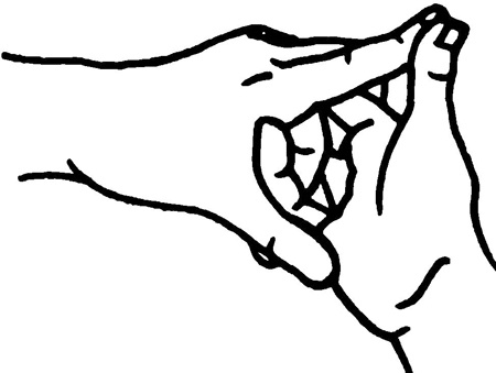 Иллюстрация к книге — Большая книга мудр. Йога для пальцев, которая даст здоровье, деньги и удачу [_178.jpg]