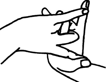 Иллюстрация к книге — Большая книга мудр. Йога для пальцев, которая даст здоровье, деньги и удачу [_1783.jpg]