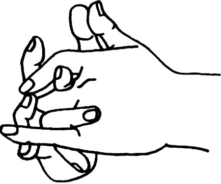 Иллюстрация к книге — Большая книга мудр. Йога для пальцев, которая даст здоровье, деньги и удачу [_1794.jpg]