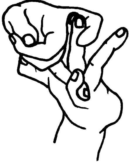 Иллюстрация к книге — Большая книга мудр. Йога для пальцев, которая даст здоровье, деньги и удачу [_1862.jpg]