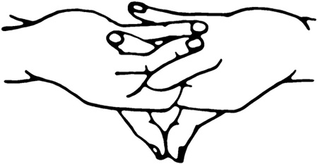 Иллюстрация к книге — Большая книга мудр. Йога для пальцев, которая даст здоровье, деньги и удачу [_187.jpg]