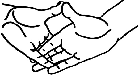 Иллюстрация к книге — Большая книга мудр. Йога для пальцев, которая даст здоровье, деньги и удачу [_192.jpg]