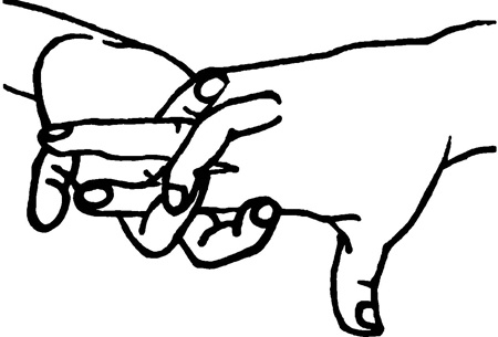 Иллюстрация к книге — Большая книга мудр. Йога для пальцев, которая даст здоровье, деньги и удачу [_2041.jpg]