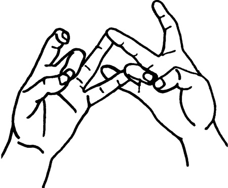 Иллюстрация к книге — Большая книга мудр. Йога для пальцев, которая даст здоровье, деньги и удачу [_2042.jpg]