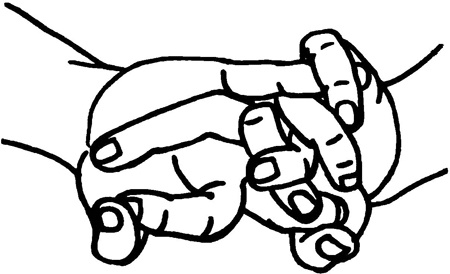 Иллюстрация к книге — Большая книга мудр. Йога для пальцев, которая даст здоровье, деньги и удачу [_209.jpg]