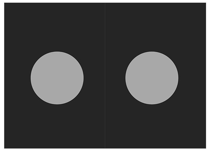 Иллюстрация к книге — Преломление. Наука видеть иначе [i_004.jpg]