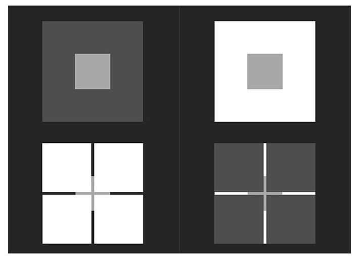 Иллюстрация к книге — Преломление. Наука видеть иначе [i_006.jpg]
