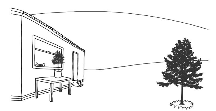 Иллюстрация к книге — Преломление. Наука видеть иначе [i_016.jpg]