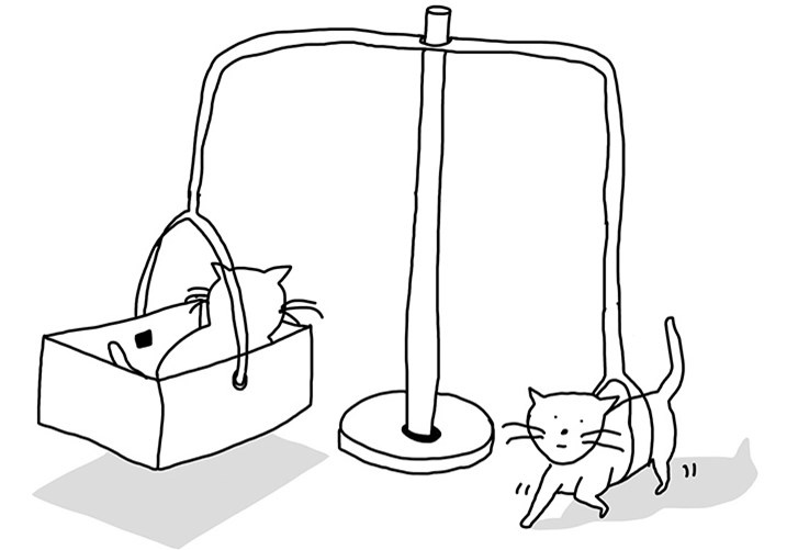 Иллюстрация к книге — Преломление. Наука видеть иначе [i_017.jpg]