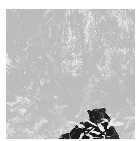 Иллюстрация к книге — Преломление. Наука видеть иначе [i_024.jpg]